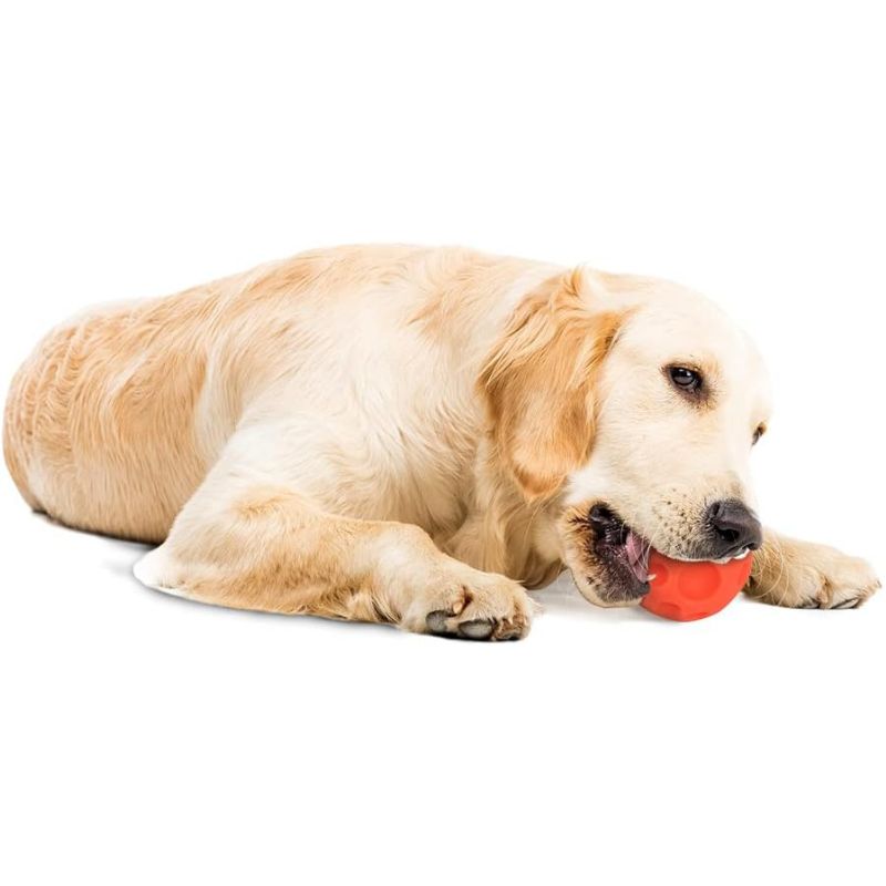 Omega Paw Pelota para Snack Medium