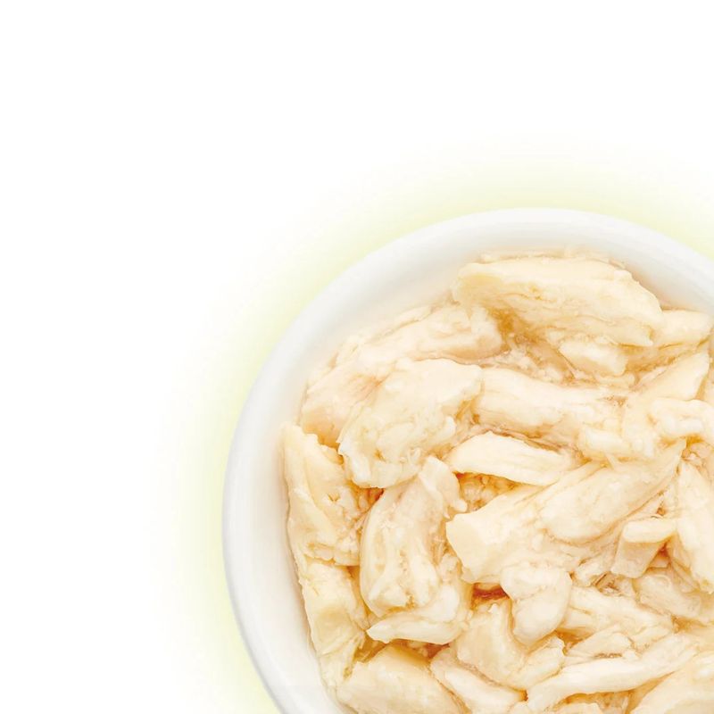 Cat Fest Filetes de Pollo70g