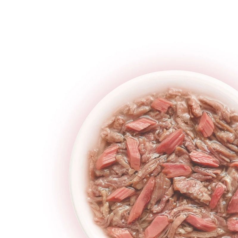 Cat Fest Pato con Atun 70g