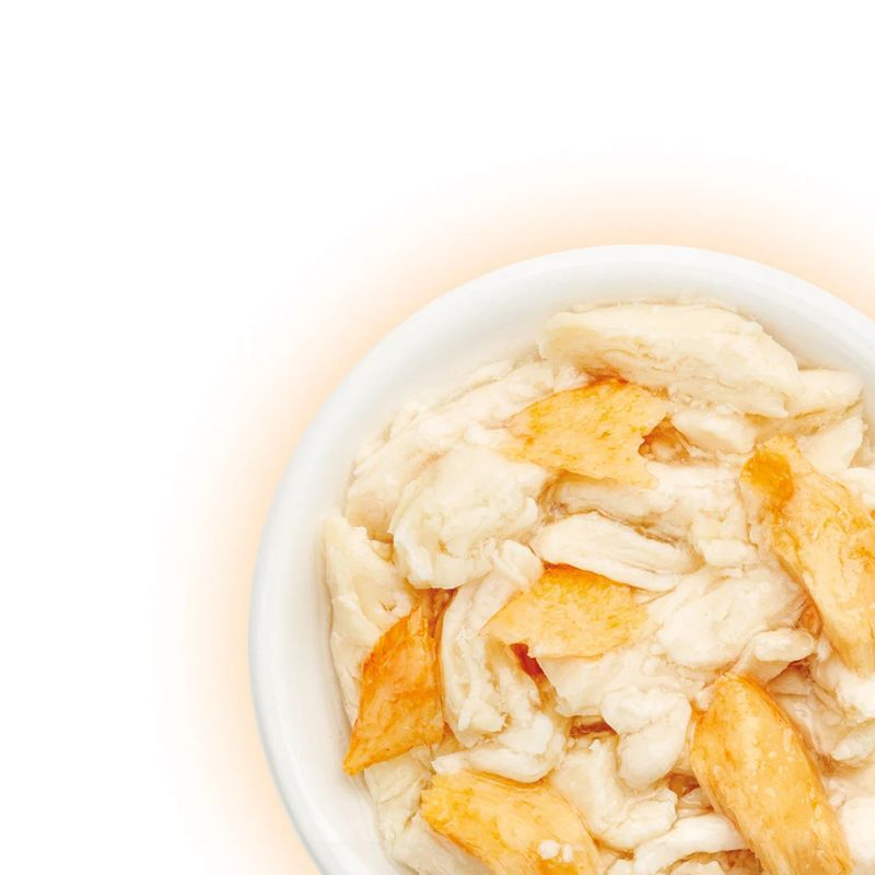 Cat Fest Pollo con Salmon 70g