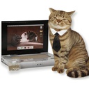 BRNX Rascador Catbook Computador
