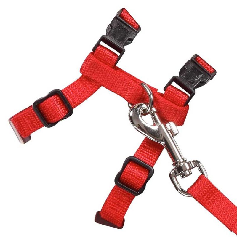 Pawise Arnes Para gato con Trailla Color Rojo