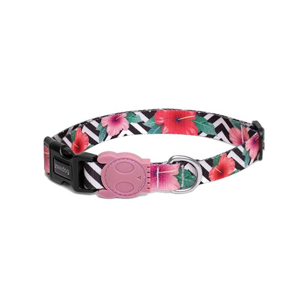 Zeedog Mahalo Collar Small