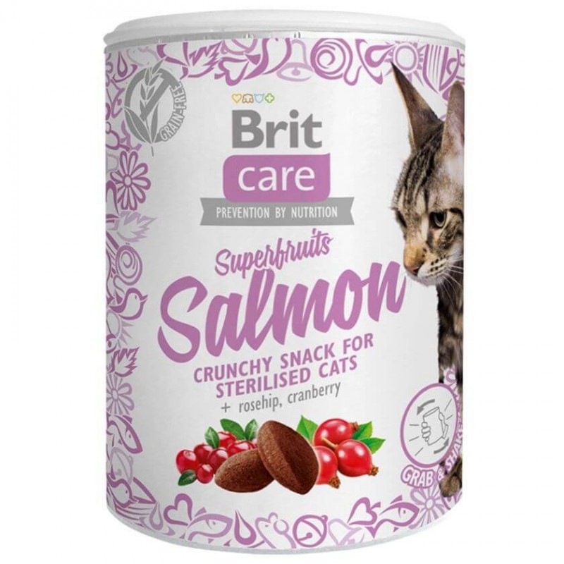 Brit Care Superfruits Salmon Snack Cat 100g