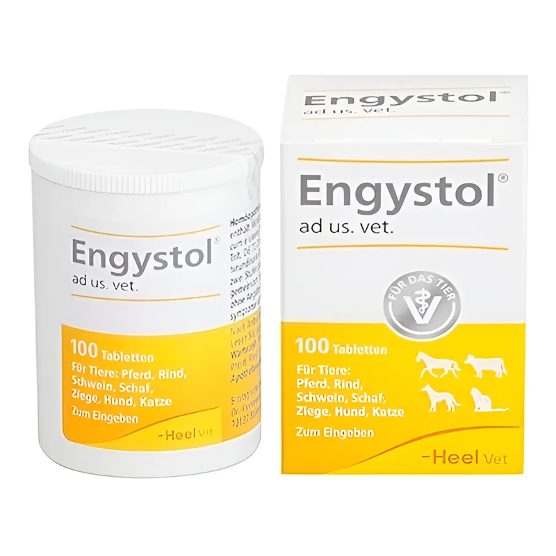 Engystol 100 Comprimidos