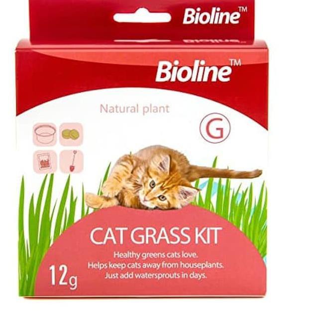 Bioline Cat Grass Kit Pasto para Gatos 12gr