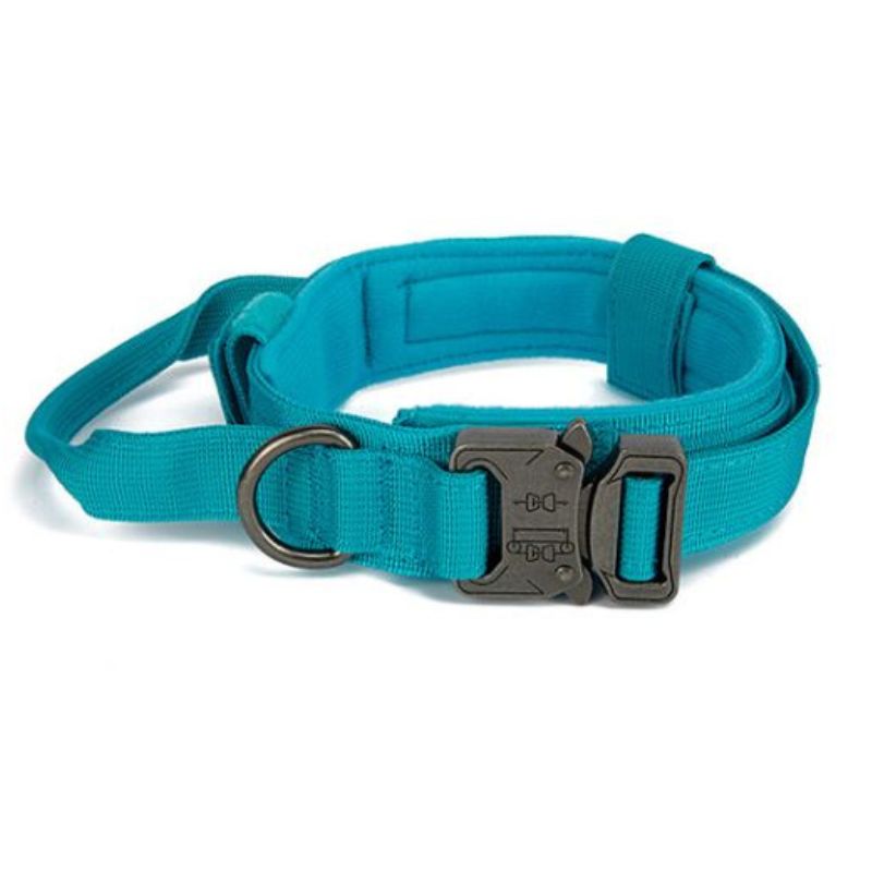 Wonder dog Collar Tactico Reforzado y Asa Azul Talla M