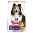 Hills Sensitive Stomach & Skin Adulto Dog 1.8kg