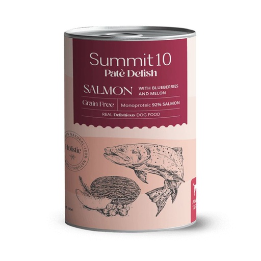 Summit 10 Pate Salmon Perro 400g