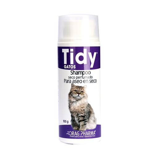 TIDY Gato Shampoo Seco 100g