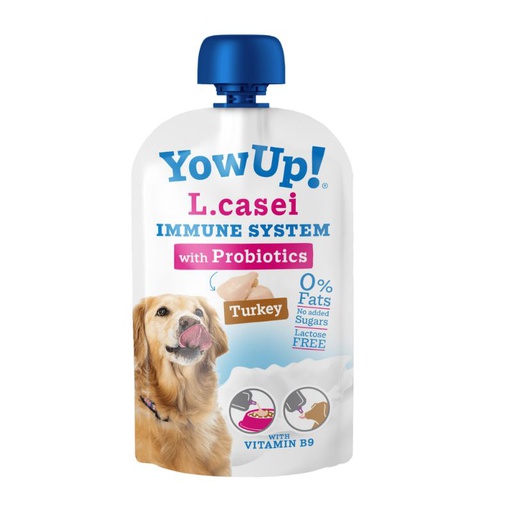 Yogurt Yow Up Perro L Casei 115g