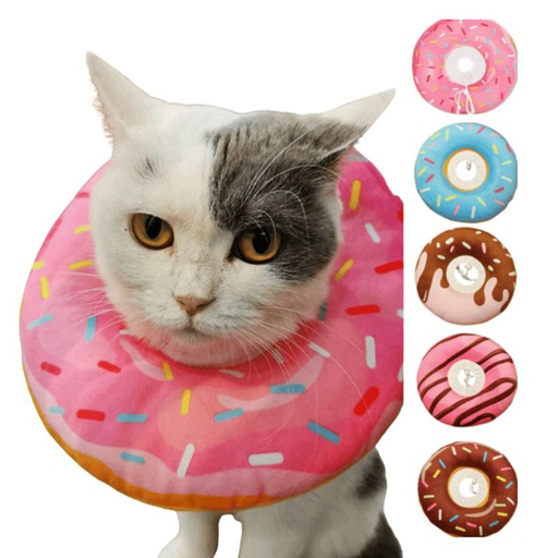 Collar Isabelino Dona para Gatos Medium