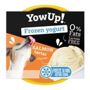 Yow Up Yogurt Helado Salmon Tartar 110g