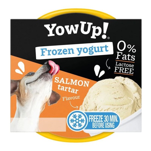 Yow Up Yogurt Helado Salmon Tartar 110g