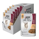 Pack Pro Plan Adult Cat Pollo En Salsa Pouch x 15u 85g