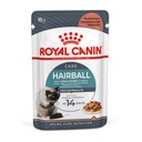 Royal Canin Pack Pouch Hairball Care Cat x 12u 85g