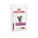 Royal Canin Pack Pouch Renal Con Pollo Cat x 12u 85g