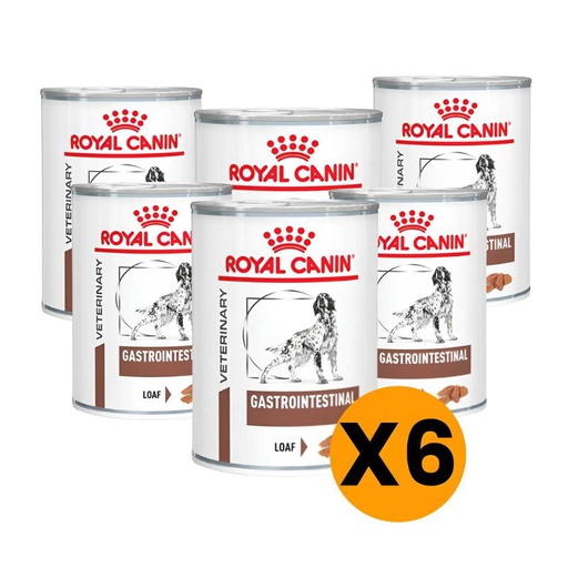 Royal Canin Pack Lata Gastrointestinal Dog x 6u 385g