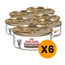 Royal Canin Pack Lata Gastrointestinal Cat 145g x 6u