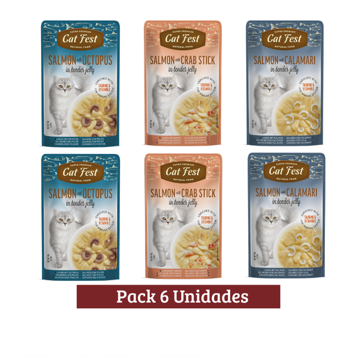 Pack Cat Fest Gato Variedades x 6u 70g