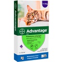 Advantage Antiparasitario Externo Gato de 4kg a 8kg