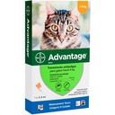 Advantage Antiparasitario Externo Gato hasta 4kg