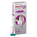 Antiparasitario Bravecto Plus De 6,25 a 12,5KG Para Gatos 1 Pipeta