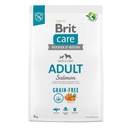 Brit Care Adult Salmon & Potato 3kg